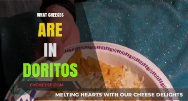 Doritos Cheese Blend: Unveiling the Flavorful Ingredients Inside Every Chip