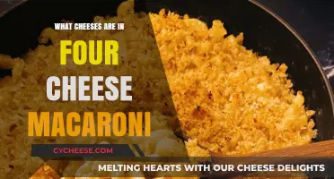 Macaroni's Cheesy Quartet: Unraveling the Four-Cheese Mystery