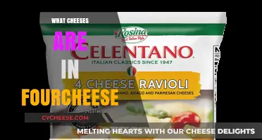 Discover the Classic Cheeses in Four-Cheese Blends: A Tasty Guide