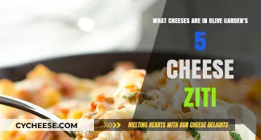 Olive Garden's 5 Cheese Ziti: Unveiling the Cheesy Delight Inside