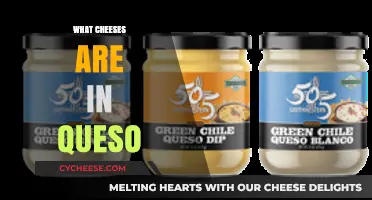 Discover the Cheesy Secrets: What Cheeses Are in Queso?