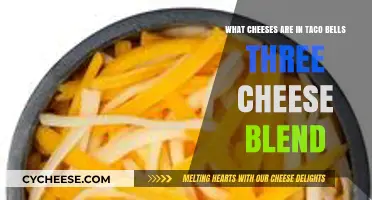 Taco Bell's Three Cheese Blend: Unveiling the Cheesy Trio Inside