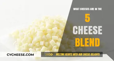Discover the Cheesy Secrets: Unveiling the 5 Cheese Blend Ingredients