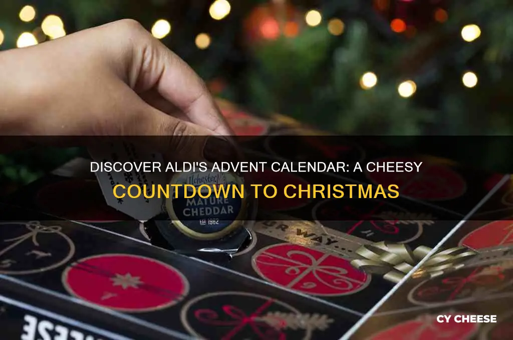 what cheeses are in the aldi advent calendar