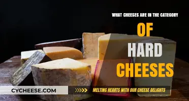 Exploring the World of Hard Cheeses: Varieties and Characteristics