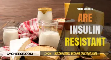 Cheese and Insulin Resistance: Which Varieties Won’t Spike Blood Sugar?