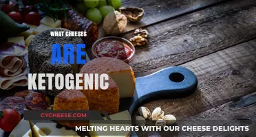 Keto-Friendly Cheeses: Top Picks for Your Low-Carb Diet Plan