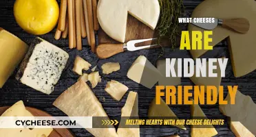 Kidney-Friendly Cheese Guide: Safe and Delicious Options to Enjoy
