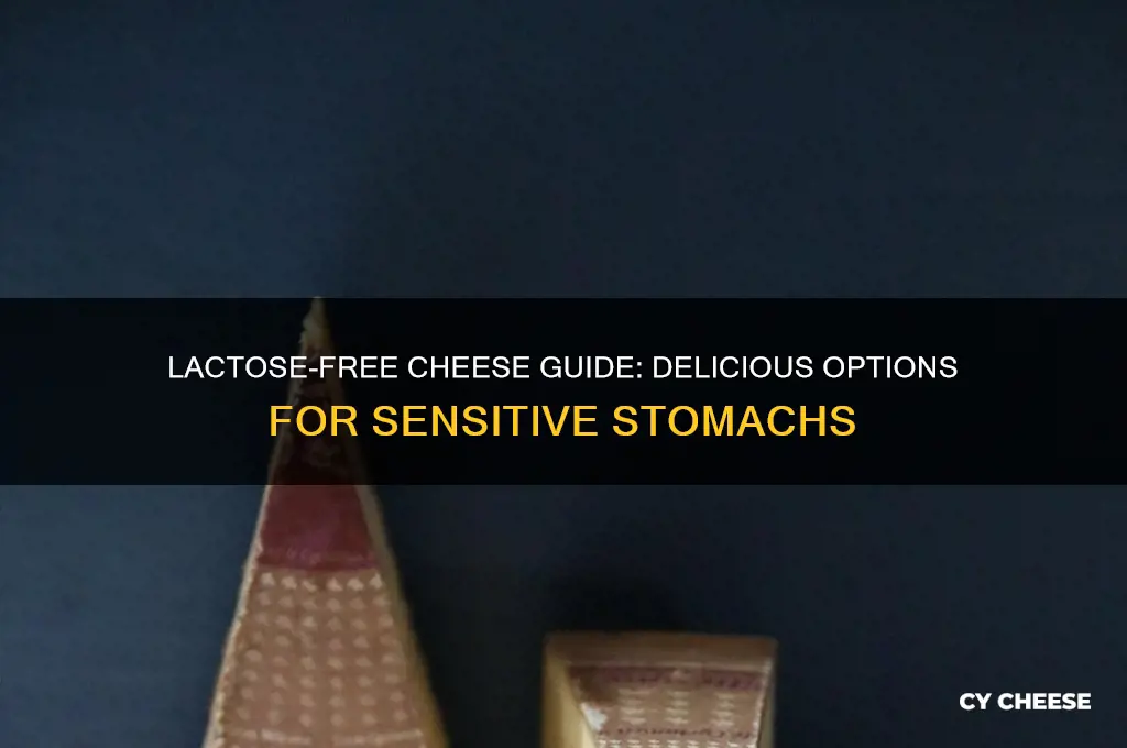 what cheeses are lactose intolerant