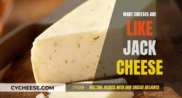 Jack Cheese Alternatives: Similar Cheeses You Should Try