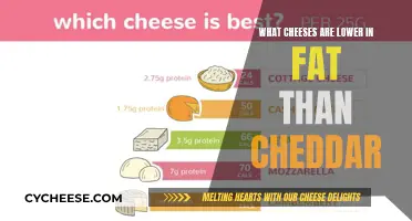 Cheese Alternatives: Discovering Lower-Fat Options Than Cheddar