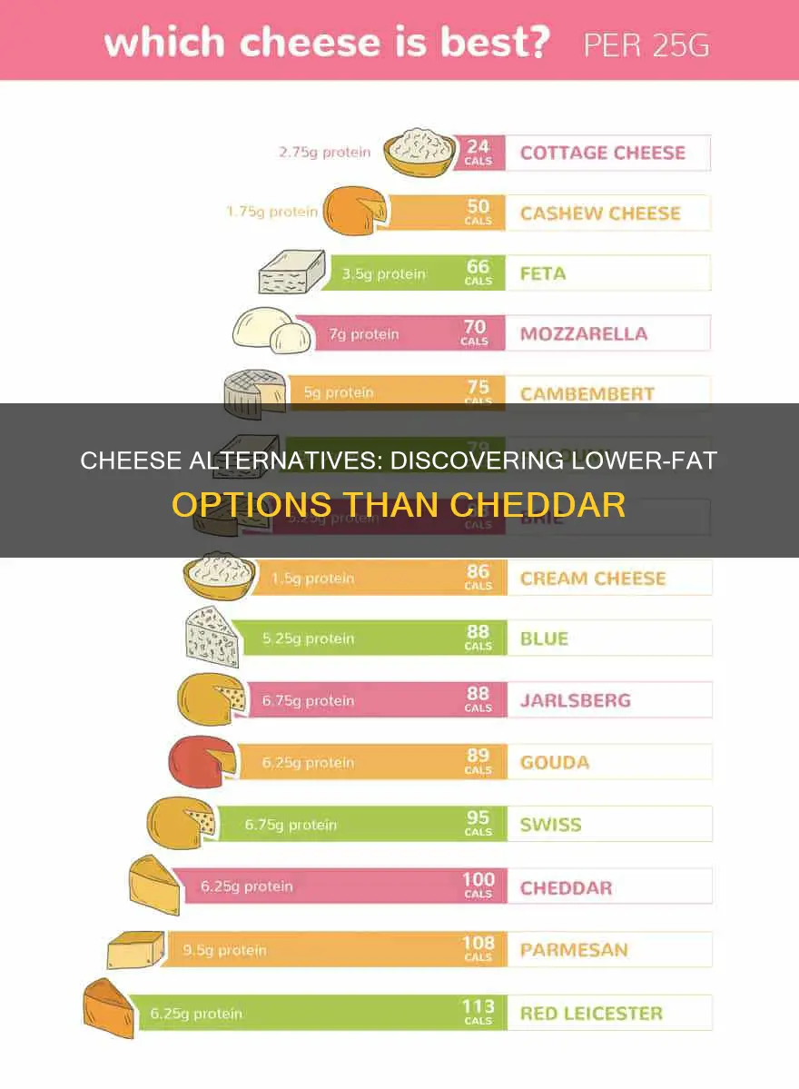 what cheeses are lower in fat than cheddar