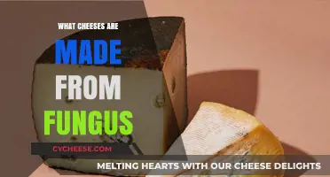 Unveiling the Fungus-Infused World of Cheeses: A Unique Fermentation Journey