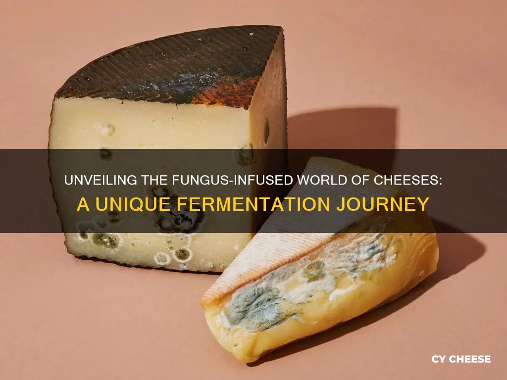 what cheeses are made from fungus