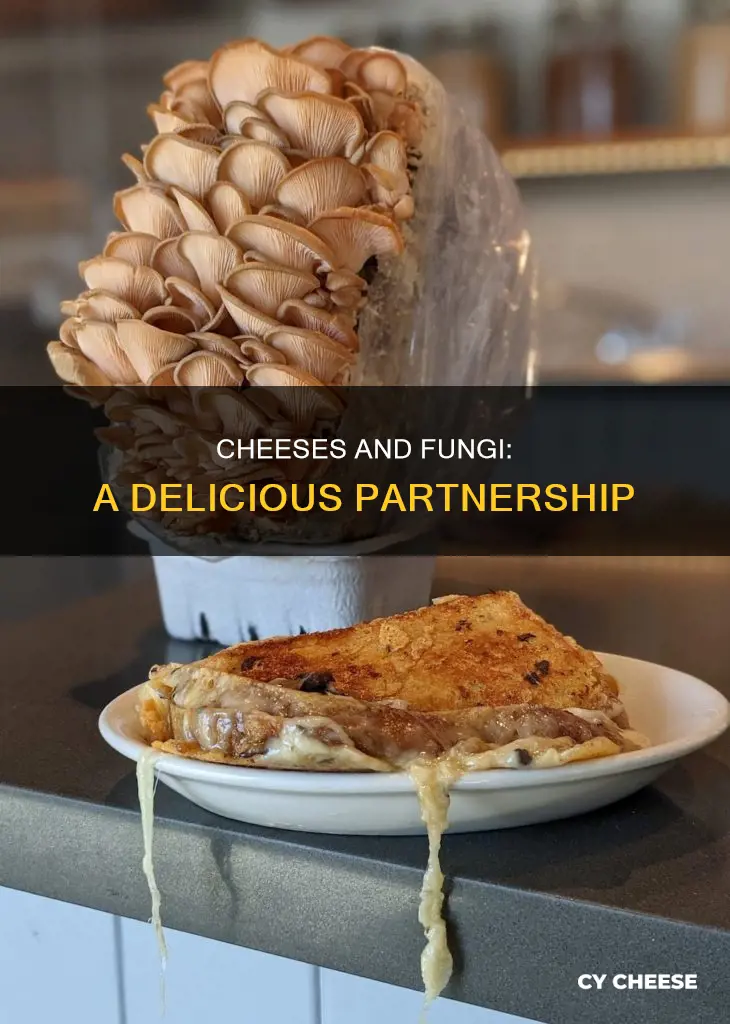 what cheeses are made from fungus