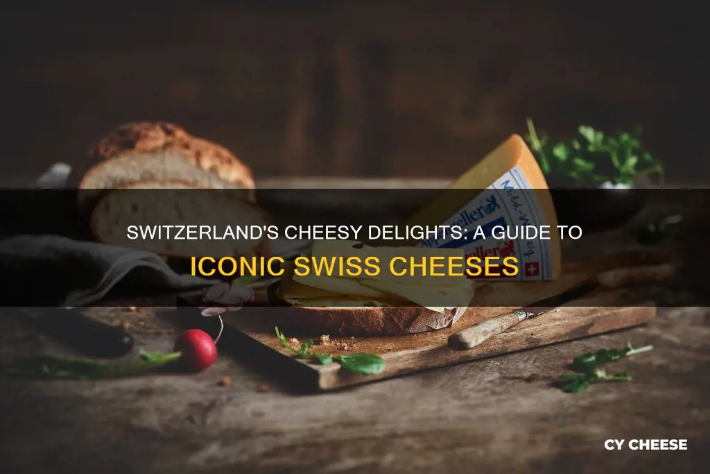 what cheeses are made in switzerland