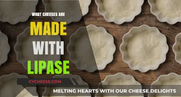 Exploring Cheeses Crafted with Lipase: A Tasty Journey