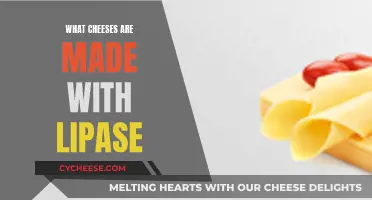 Cheese and Lipase: The Art of Flavorful Cheeses