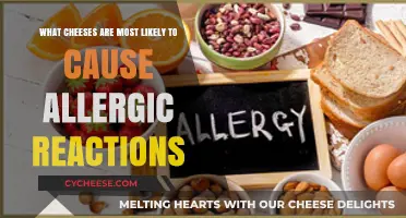 Cheese Allergies: Which Varieties Commonly Trigger Reactions and Why