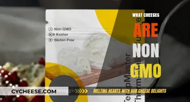 Discovering Non-GMO Cheeses: A Guide to Natural, Healthy Options