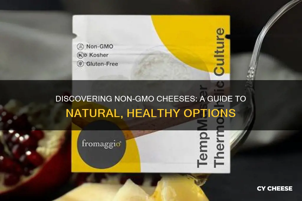 what cheeses are non gmo