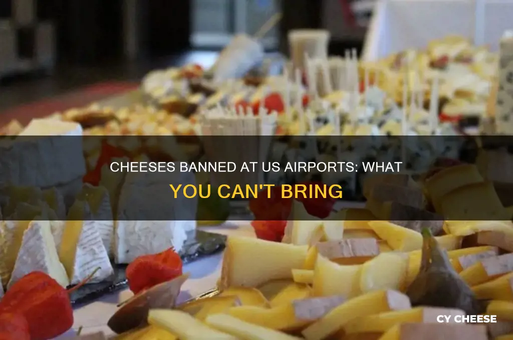 what cheeses are not allowed to bring into us airport