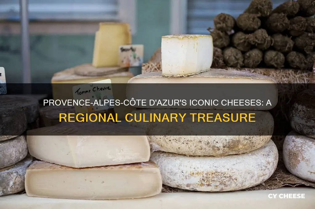what cheeses are provence-alpes-azure known for