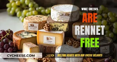 Rennet-Free Cheeses: A Guide to Delicious Alternatives