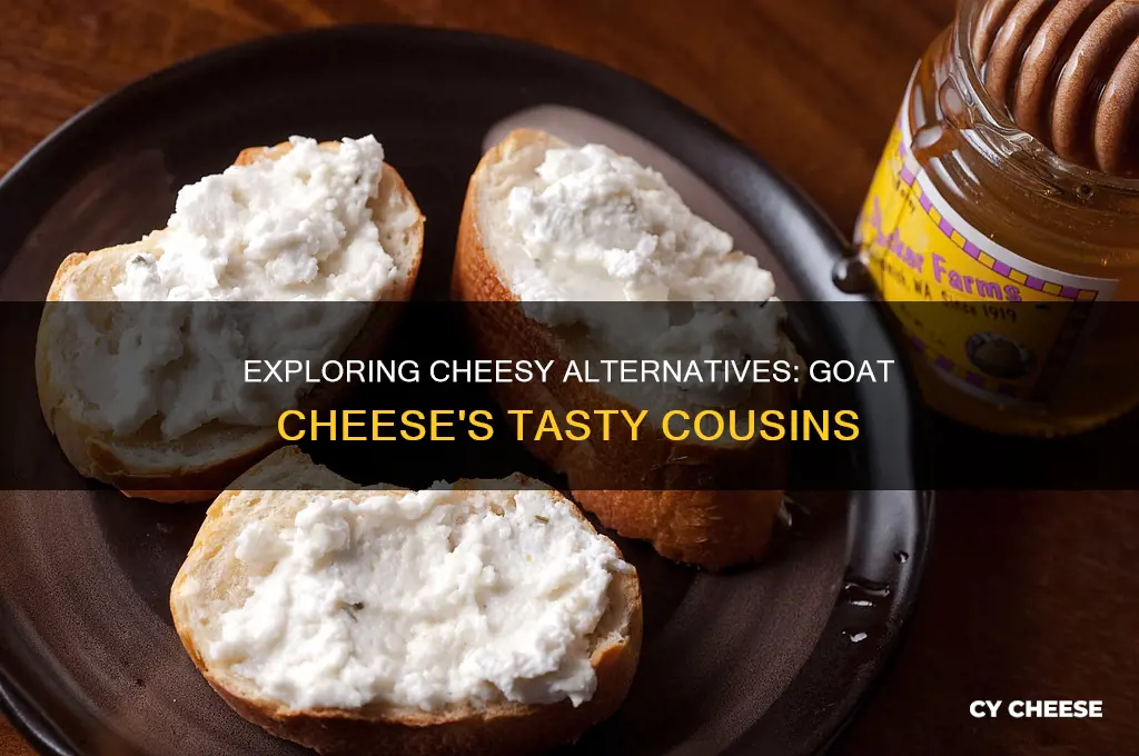 what cheeses are similar to goat cheese