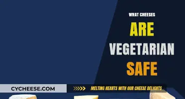 Vegetarian-Friendly Cheese Guide: Discover Safe and Delicious Options