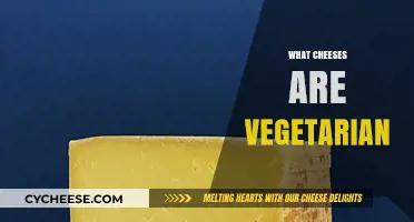 Vegetarian Cheese Guide: Discover Dairy Options Without Animal Rennet