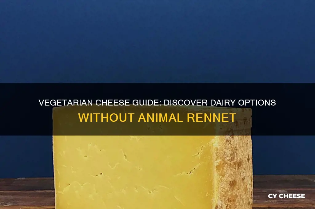 what cheeses are vegetarian