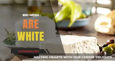 Exploring Creamy White Cheeses: Types, Uses, and Flavor Profiles