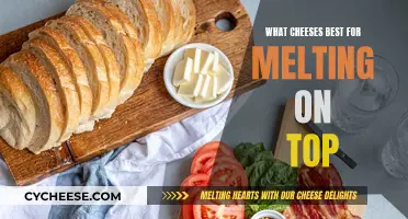 Best Cheeses for Melting: Top Tips for Taste