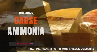 Which Cheeses Produce Ammonia? Uncovering the Smelly Culprits in Dairy