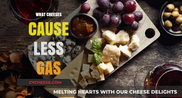 Low-Gas Cheeses: Enjoy Dairy Without the Discomfort