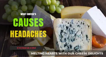 Cheese and Headaches: Which Varieties Trigger Painful Symptoms?