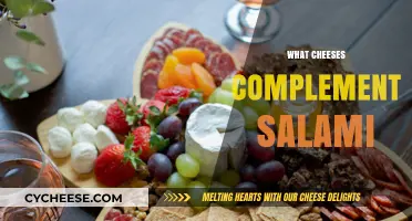 Perfect Pairings: Top Cheeses to Complement Salami for Ultimate Flavor