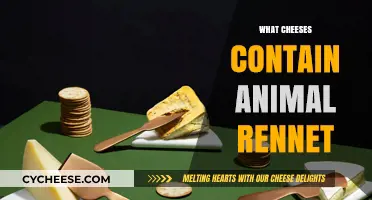 Animal Rennet in Cheese: Which Varieties Use It and Why
