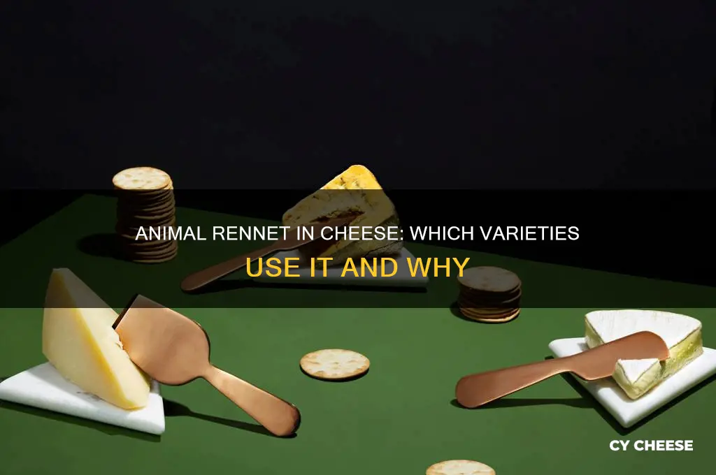 what cheeses contain animal rennet
