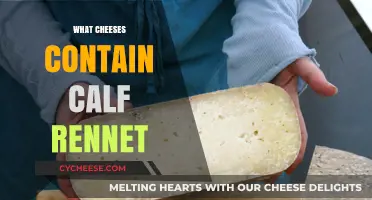 Calf Rennet in Cheese: Which Varieties Contain Animal Enzymes?