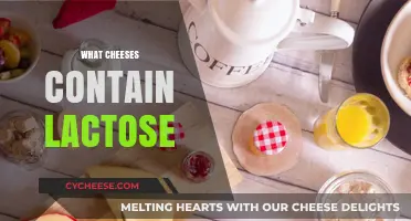 Lactose-Intolerant Cheese Lovers: Discover Which Cheeses Contain Lactose