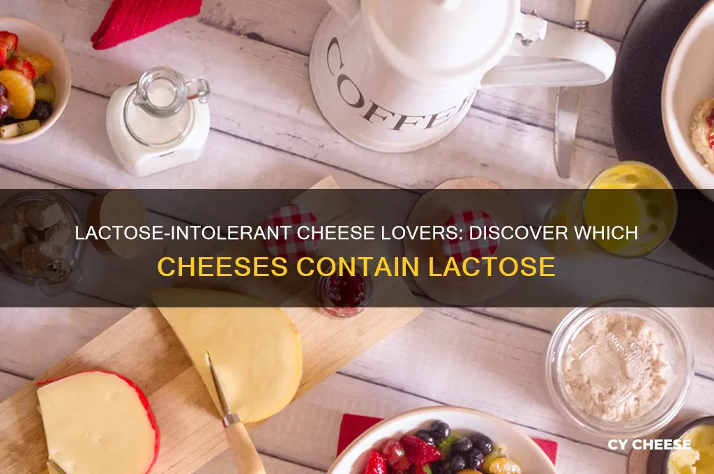 what cheeses contain lactose