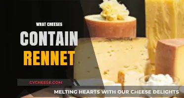 Cheese and Rennet: A Guide to Which Varieties Contain It