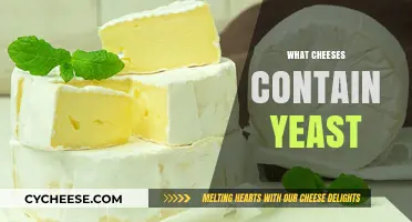 Yeast in Cheese: Which Varieties Contain This Fermenting Fungus?