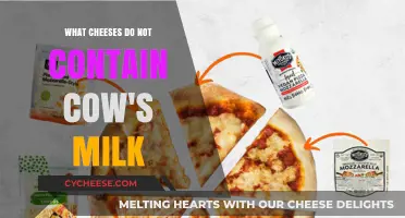 Dairy-Free Cheese Guide: Top Cow's Milk-Free Alternatives