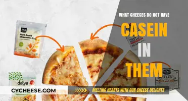 Casein-Free Cheese Options: Discover Dairy Alternatives Without Casein