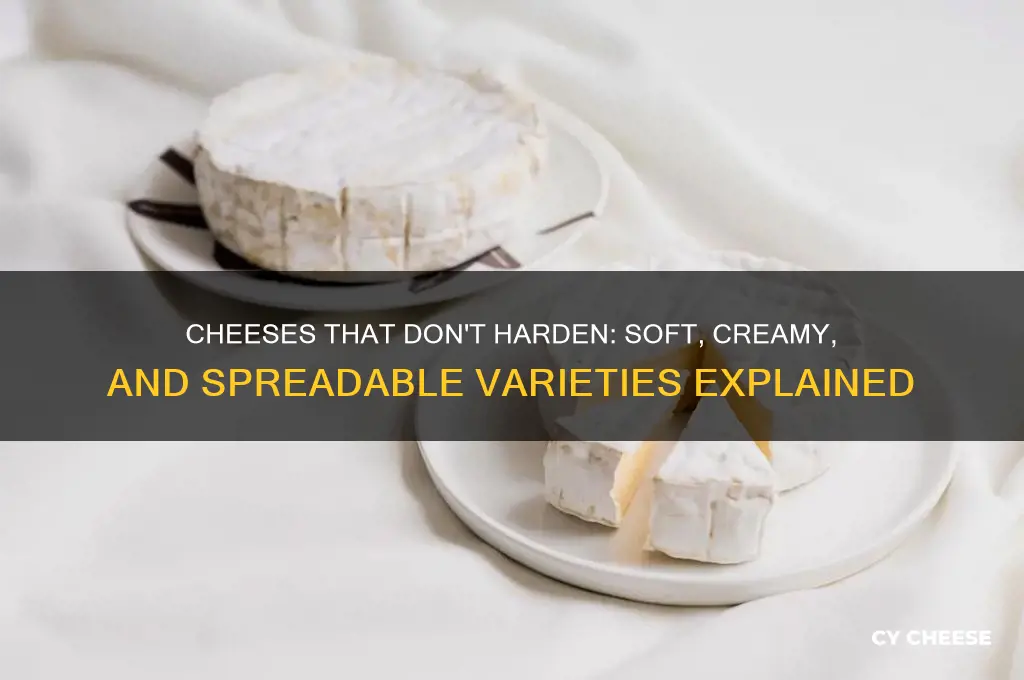 what cheeses don