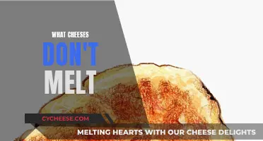 Unmeltable Cheeses: The Solid Standouts of Dairy