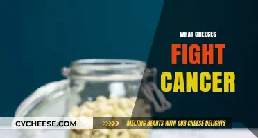 Cheese Power: Discover Anti-Cancer Properties in These Dairy Delights